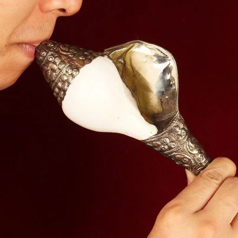 CONCHA BUDISTA DECORATIVA — PRESENÇA E CONTEMPLAÇÃO